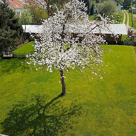 Maisonette With Fantastic View Usingen